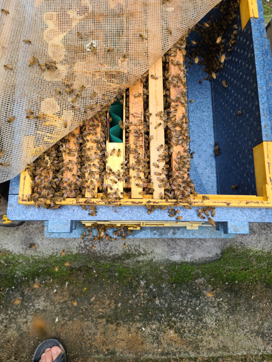 1657286973145-11.jpg