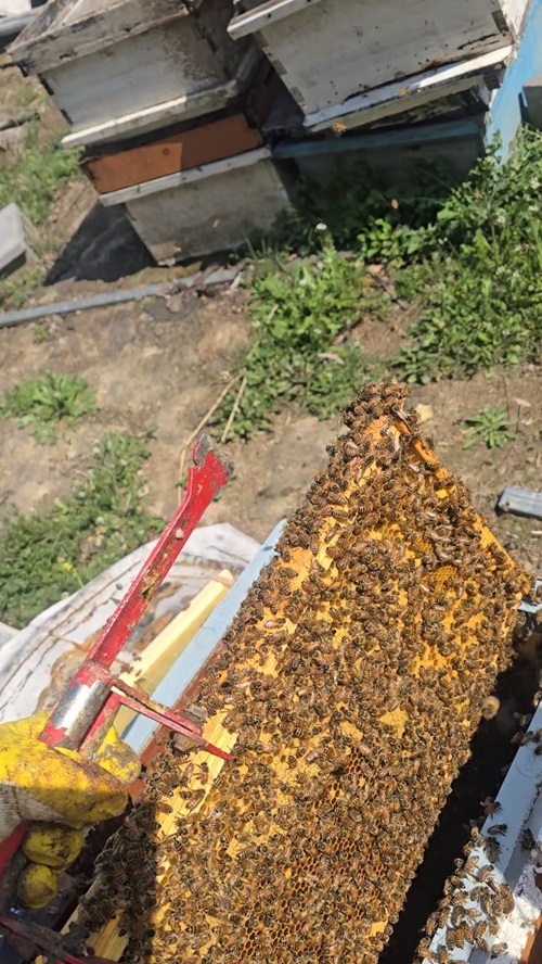 VideoCapture_20250415-2215501.jpg