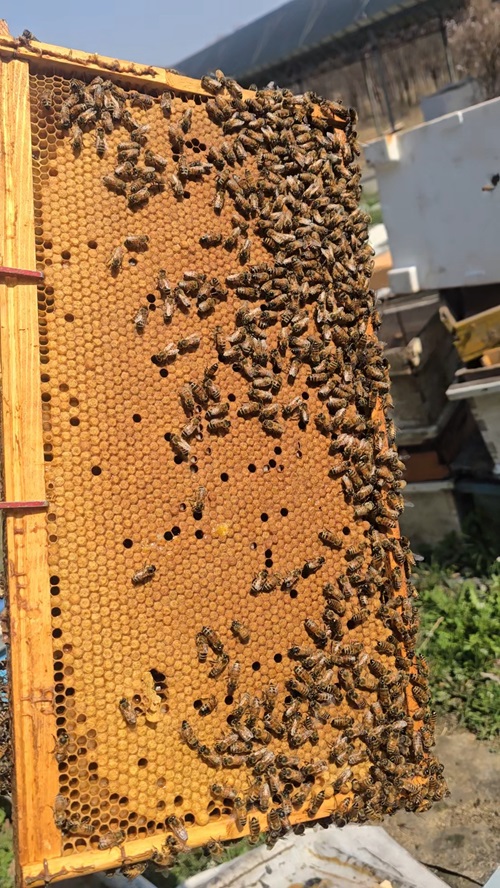 VideoCapture_20250415-221606.jpg